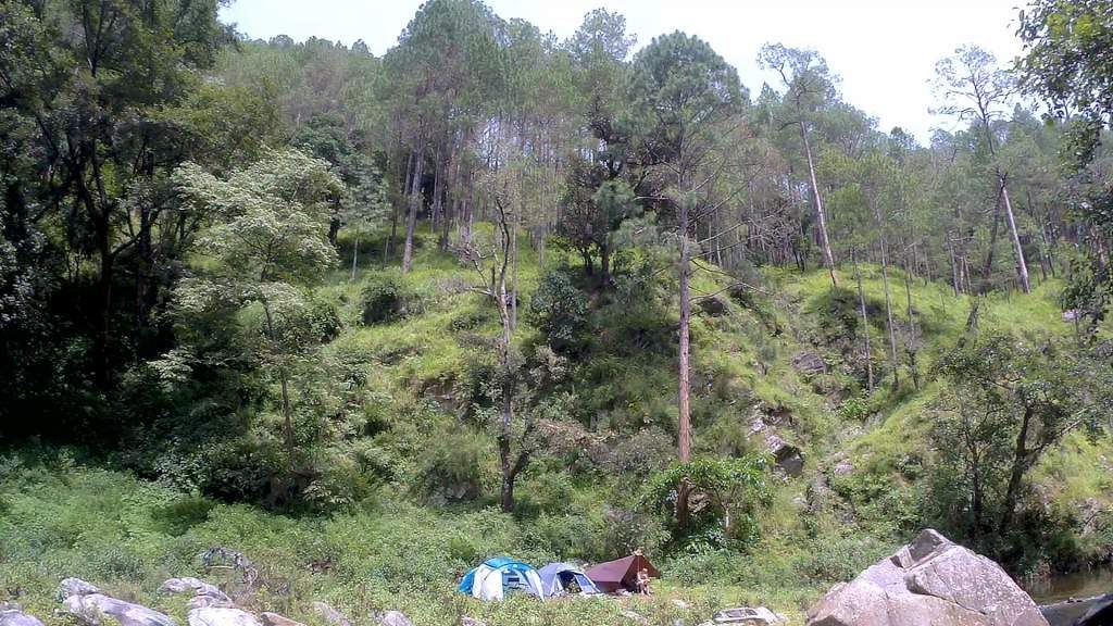 30 Days Camping in the Padampuri Forest