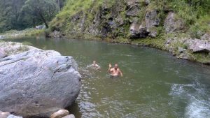 30 Days Camping in the Padampuri Forest