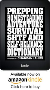 Survival Dictionary