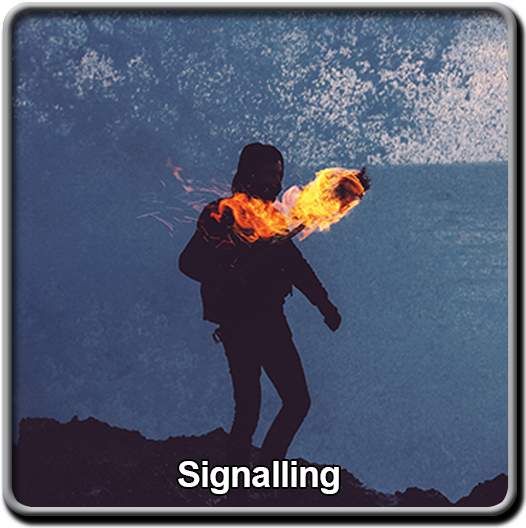 course-topics-signalling