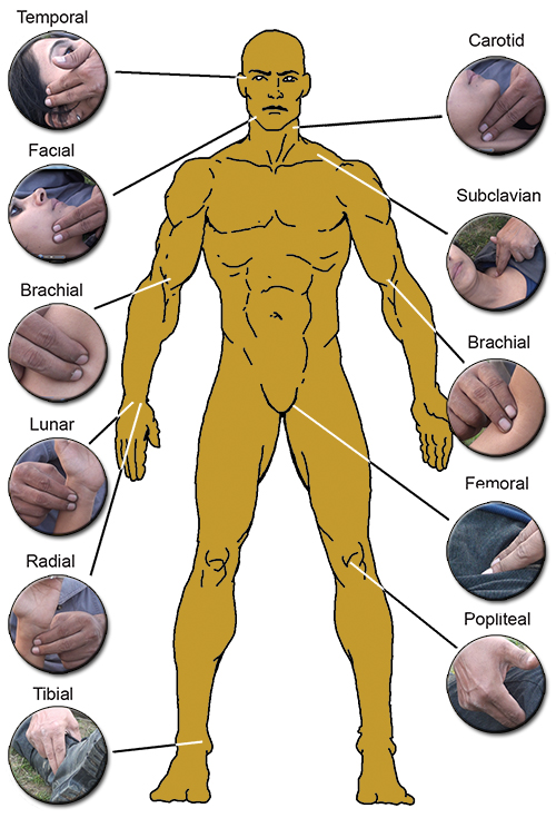 Pressure Point Pressure Point